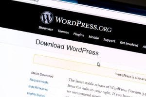 buying a wordpress theme