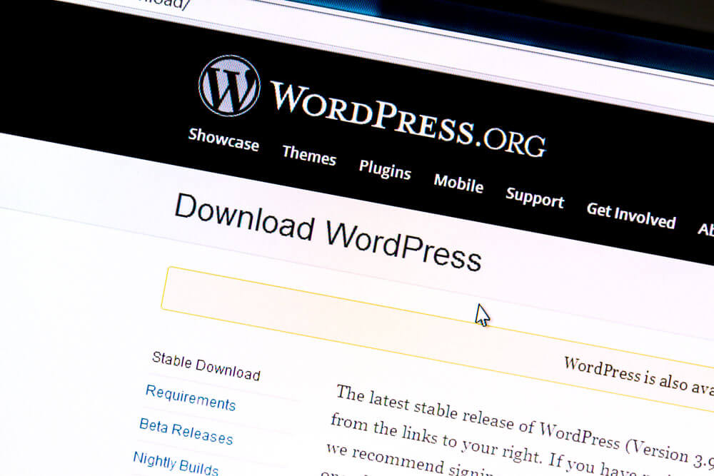 buying a wordpress theme
