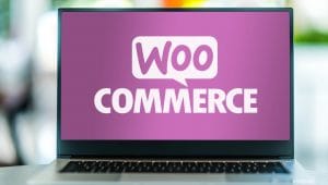 Speed Up WooCommerce